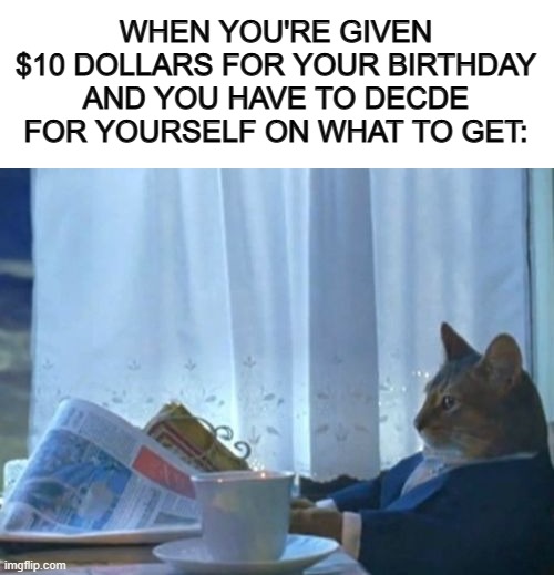 "Decisions, decisions..." | WHEN YOU'RE GIVEN $10 DOLLARS FOR YOUR BIRTHDAY AND YOU HAVE TO DECDE FOR YOURSELF ON WHAT TO GET: | image tagged in blank white template,memes,i should buy a boat cat | made w/ Imgflip meme maker