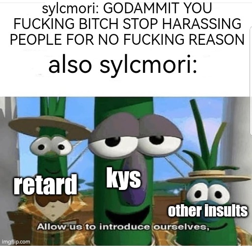 Allow us to introduce ourselves | sylcmori: GODAMMIT YOU FUCKING BITCH STOP HARASSING PEOPLE FOR NO FUCKING REASON; also sylcmori:; kys; retard; other insults | image tagged in allow us to introduce ourselves | made w/ Imgflip meme maker