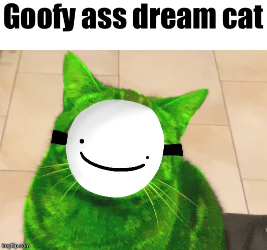 Goofy ahh (this is my real cat) | made w/ Imgflip meme maker