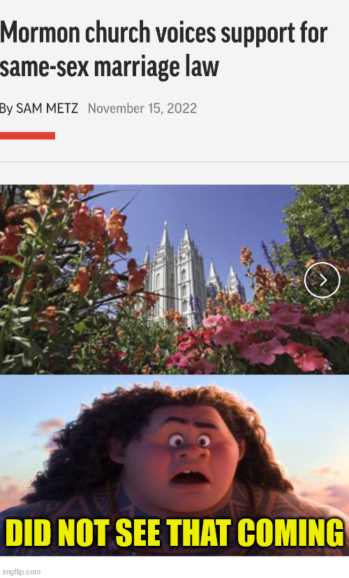 Plot twist | DID NOT SEE THAT COMING | image tagged in did not see that coming - maui,dank,christian,memes,r/dankchristianmemes | made w/ Imgflip meme maker