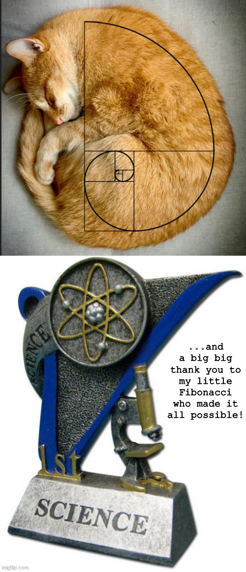 1st in Sci | ...and a big big thank you to my little Fibonacci who made it all possible! | image tagged in memes,cats,fun | made w/ Imgflip meme maker