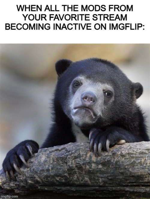 Specifically for the satisfying stream U_U | WHEN ALL THE MODS FROM YOUR FAVORITE STREAM BECOMING INACTIVE ON IMGFLIP: | image tagged in blank white template,memes,confession bear | made w/ Imgflip meme maker