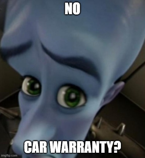 No Car warranty? | NO; CAR WARRANTY? | image tagged in megamind no bitches,no bitches | made w/ Imgflip meme maker