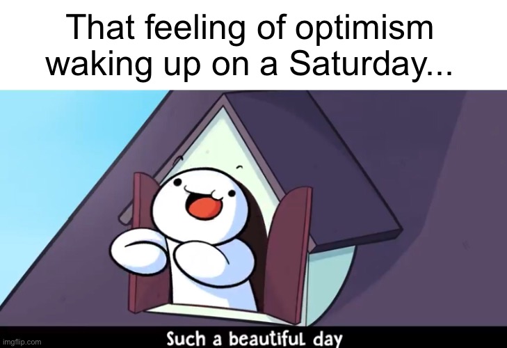 Meme #1,355 | That feeling of optimism waking up on a Saturday... | image tagged in saturday,wake up,optimism,happy,feels good man,relatable | made w/ Imgflip meme maker