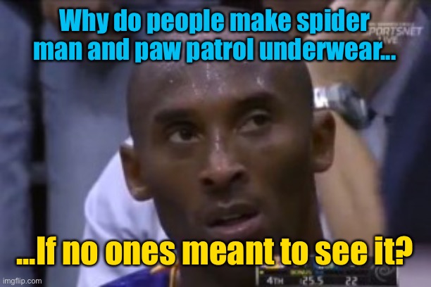 Meme #1,358 | Why do people make spider man and paw patrol underwear... ...If no ones meant to see it? | image tagged in memes,questionable strategy kobe,underwear,spider man,paw patrol | made w/ Imgflip meme maker