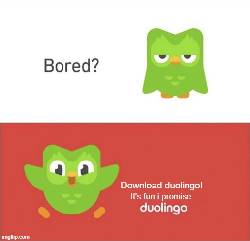 DUOLINGO BORED | Download duolingo! It's fun i promise. | image tagged in duolingo bored | made w/ Imgflip meme maker
