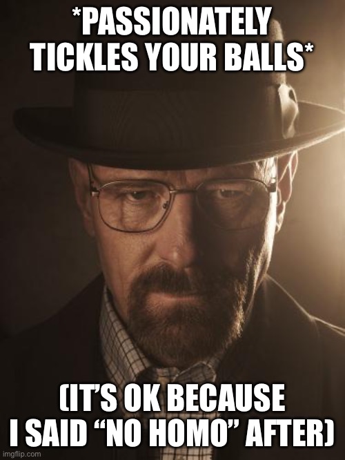 Walter White | *PASSIONATELY TICKLES YOUR BALLS*; (IT’S OK BECAUSE I SAID “NO HOMO” AFTER) | image tagged in walter white | made w/ Imgflip meme maker