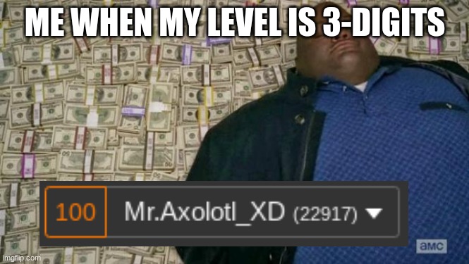 Thank you, all | ME WHEN MY LEVEL IS 3-DIGITS | image tagged in huell money | made w/ Imgflip meme maker