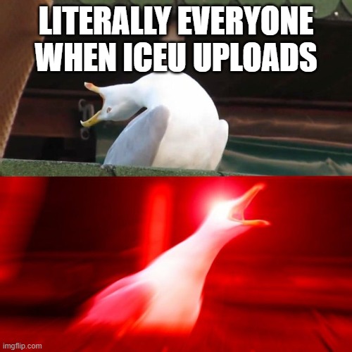 Iceu is cool | LITERALLY EVERYONE WHEN ICEU UPLOADS | image tagged in boy seagull | made w/ Imgflip meme maker