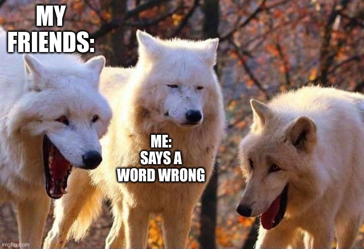Your Friends When You Say a Word Wrong | MY FRIENDS:; ME: SAYS A WORD WRONG | image tagged in laughing wolf | made w/ Imgflip meme maker
