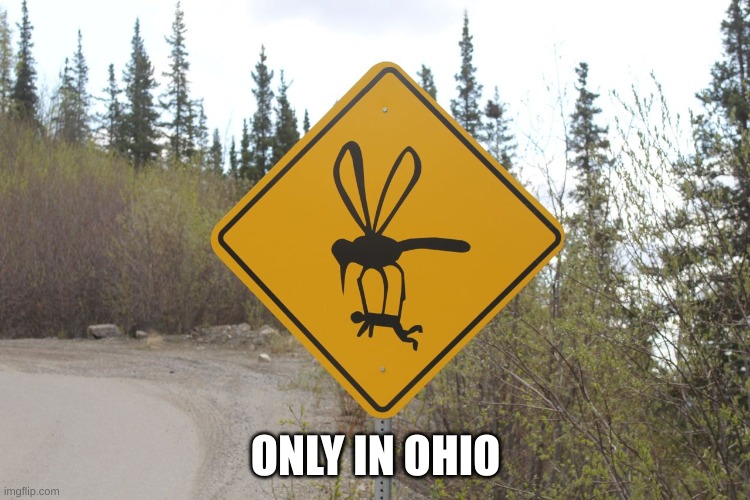 ohio be like | ONLY IN OHIO | image tagged in funny memes,only in ohio | made w/ Imgflip meme maker