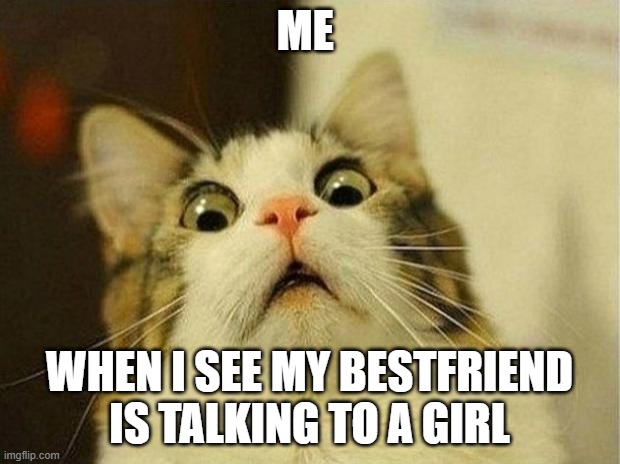 cat meme | ME; WHEN I SEE MY BESTFRIEND IS TALKING TO A GIRL | image tagged in memes,scared cat | made w/ Imgflip meme maker