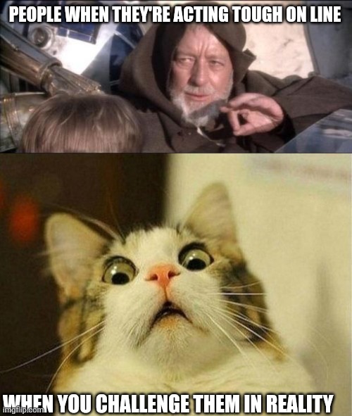 PEOPLE WHEN THEY'RE ACTING TOUGH ON LINE; WHEN YOU CHALLENGE THEM IN REALITY | image tagged in memes,these aren't the droids you were looking for,scared cat | made w/ Imgflip meme maker