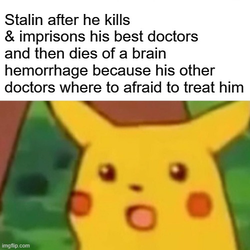 Surprised Pikachu | Stalin after he kills & imprisons his best doctors and then dies of a brain hemorrhage because his other doctors where to afraid to treat him | image tagged in memes,surprised pikachu | made w/ Imgflip meme maker