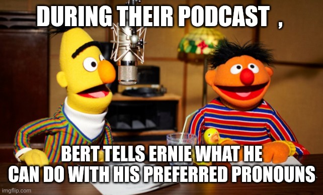 Beet and ernie | DURING THEIR PODCAST  , BERT TELLS ERNIE WHAT HE CAN DO WITH HIS PREFERRED PRONOUNS | image tagged in bert and ernie radio | made w/ Imgflip meme maker