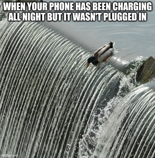 When Your Phone Has Been Charging All Night But it Wasn't Plugged in | WHEN YOUR PHONE HAS BEEN CHARGING ALL NIGHT BUT IT WASN'T PLUGGED IN | image tagged in duck over waterfall | made w/ Imgflip meme maker