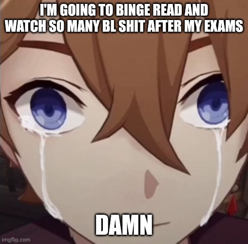 I'm going to watch a bit of heavens official blessing this week though, I legit can't hold back | I'M GOING TO BINGE READ AND WATCH SO MANY BL SHIT AFTER MY EXAMS; DAMN | image tagged in childe crying | made w/ Imgflip meme maker