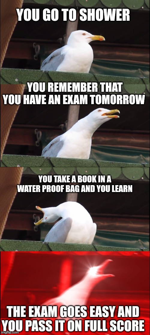 How to learn for an exam | YOU GO TO SHOWER; YOU REMEMBER THAT YOU HAVE AN EXAM TOMORROW; YOU TAKE A BOOK IN A WATER PROOF BAG AND YOU LEARN; THE EXAM GOES EASY AND YOU PASS IT ON FULL SCORE | image tagged in memes,inhaling seagull | made w/ Imgflip meme maker