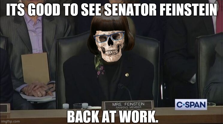 United States Skeletor Feinstein (D) | ITS GOOD TO SEE SENATOR FEINSTEIN; BACK AT WORK. | image tagged in memes,dianne feinstein,skeletor,democrats,elder abuse,political meme | made w/ Imgflip meme maker