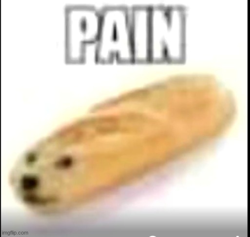 Pain. | image tagged in pain,bread,memes,funny,front page plz | made w/ Imgflip meme maker