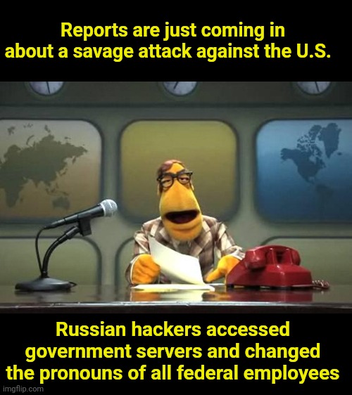 Brutal | Reports are just coming in about a savage attack against the U.S. Russian hackers accessed government servers and changed the pronouns of all federal employees | image tagged in muppet reporter,pronouns,woke,hackers | made w/ Imgflip meme maker