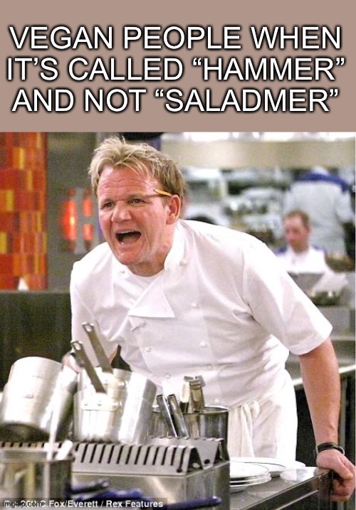 I have no idea for a title | VEGAN PEOPLE WHEN IT’S CALLED “HAMMER” AND NOT “SALADMER” | image tagged in memes,chef gordon ramsay,vegan,words,funny | made w/ Imgflip meme maker