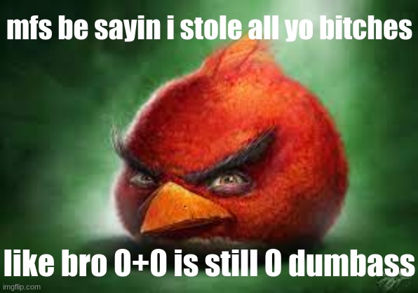 unfunny ahh meme | mfs be sayin i stole all yo bitches; like bro 0+0 is still 0 dumbass | image tagged in realistic red angry birds,unfunny,silly | made w/ Imgflip meme maker