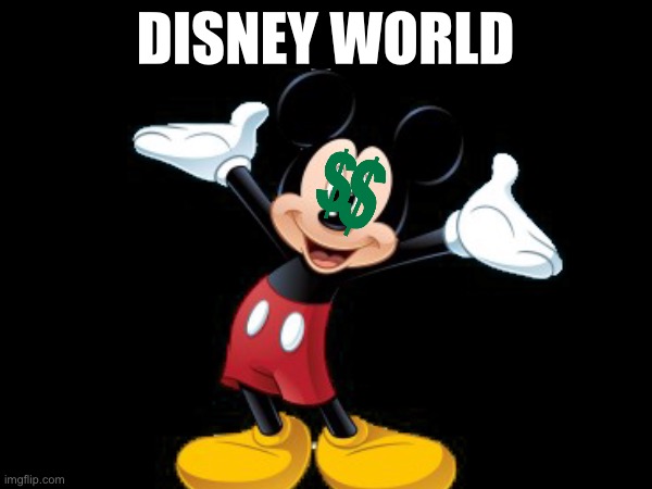mickey mouse, moneyhouse | DISNEY WORLD | image tagged in disney world,expensive,mickey mouse,meme,funny,true | made w/ Imgflip meme maker