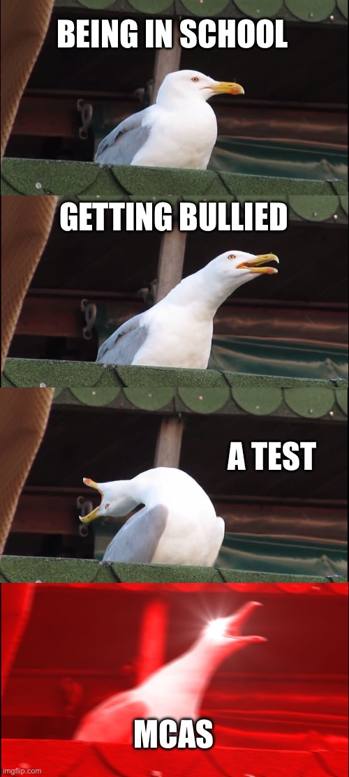 The stages of bs school days | BEING IN SCHOOL; GETTING BULLIED; A TEST; MCAS | image tagged in memes,inhaling seagull | made w/ Imgflip meme maker