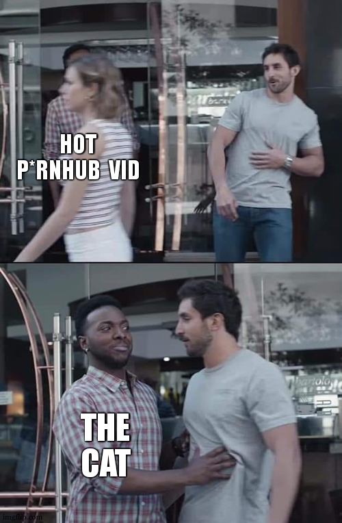 black guy stopping | HOT P*RNHUB  VID THE CAT | image tagged in black guy stopping | made w/ Imgflip meme maker