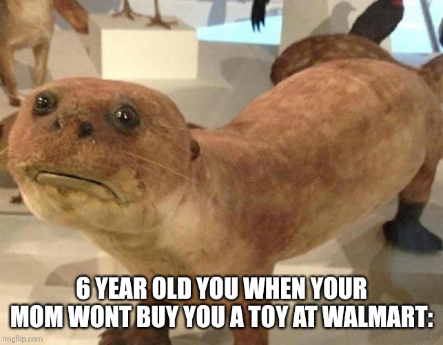 ;( | 6 YEAR OLD YOU WHEN YOUR MOM WONT BUY YOU A TOY AT WALMART: | image tagged in funny,relatable,fun,memes | made w/ Imgflip meme maker