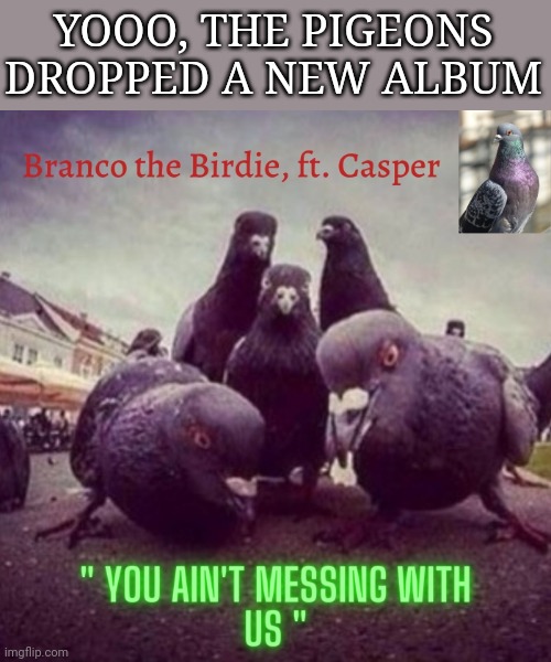 YOOO, THE PIGEONS DROPPED A NEW ALBUM | made w/ Imgflip meme maker