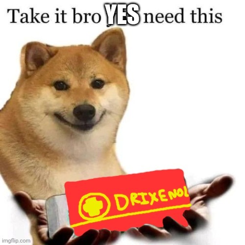 Take it bro you need this | YES | image tagged in take it bro you need this | made w/ Imgflip meme maker