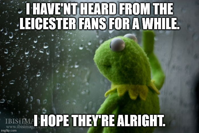 kermit window | I HAVE'NT HEARD FROM THE LEICESTER FANS FOR A WHILE. I HOPE THEY'RE ALRIGHT. | image tagged in kermit window | made w/ Imgflip meme maker