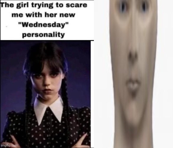 Me fr | image tagged in memes,the girl trying to scare me with her new wednesday personality,funny memes,shitpost,msmg,tags are cool | made w/ Imgflip meme maker