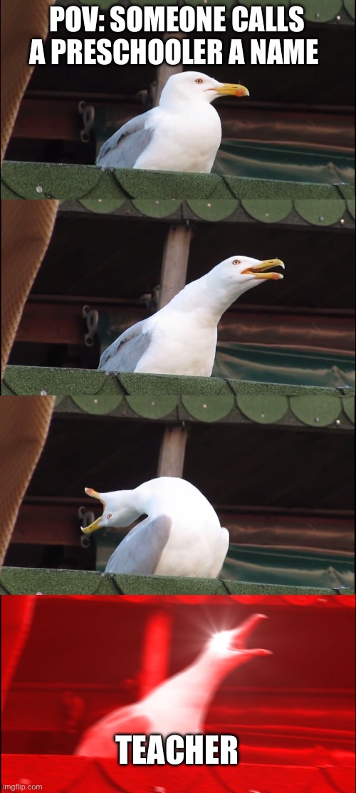 They snitch so much | POV: SOMEONE CALLS A PRESCHOOLER A NAME; TEACHER | image tagged in memes,inhaling seagull | made w/ Imgflip meme maker