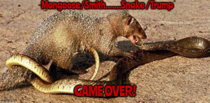Smith vs Trump | Mongoose/Smith.......Snake /Trump; GAME OVER! | image tagged in game over,snake and mongoose | made w/ Imgflip meme maker