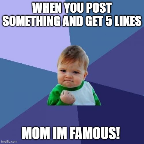 Mom Im Famous | WHEN YOU POST SOMETHING AND GET 5 LIKES; MOM IM FAMOUS! | image tagged in memes,success kid,meme,fun,funny,mom im famous | made w/ Imgflip meme maker