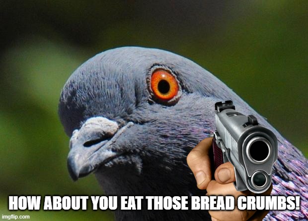 Pigeon | HOW ABOUT YOU EAT THOSE BREAD CRUMBS! | image tagged in pigeon | made w/ Imgflip meme maker