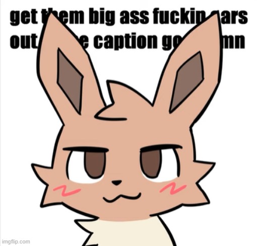 I found this somewhere on google | image tagged in boykisser eevee | made w/ Imgflip meme maker