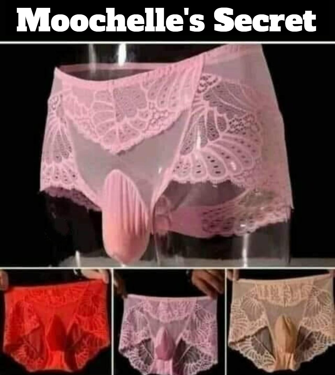 Moochelle's Secret | image tagged in moochelle obama,michelle obama,nutsack,lingerie,tranny laundry,tired of hearing about transgenders | made w/ Imgflip meme maker