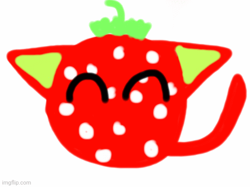 Strawberry cat ball Objectcatballs | image tagged in gifs,cats | made w/ Imgflip images-to-gif maker
