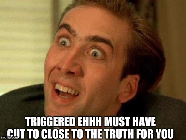 Nicolas cage | TRIGGERED EHHH MUST HAVE CUT TO CLOSE TO THE TRUTH FOR YOU | image tagged in nicolas cage | made w/ Imgflip meme maker