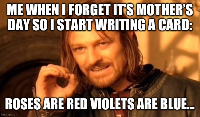 This is so true… | ME WHEN I FORGET IT’S MOTHER’S DAY SO I START WRITING A CARD:; ROSES ARE RED VIOLETS ARE BLUE… | image tagged in memes,one does not simply | made w/ Imgflip meme maker