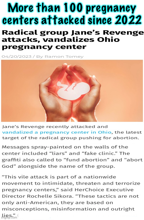 Pregnancy center attacks Blank Meme Template