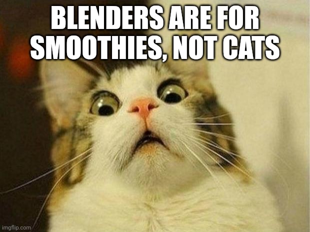 I cried watching the video | BLENDERS ARE FOR SMOOTHIES, NOT CATS | image tagged in memes,scared cat | made w/ Imgflip meme maker