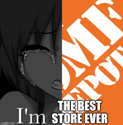 Im home depot | THE BEST STORE EVER | made w/ Imgflip meme maker