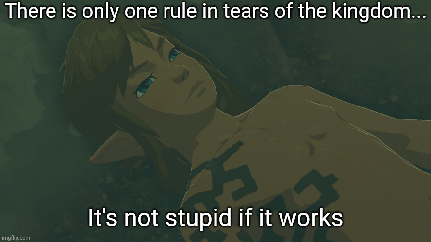 A good example is the giant mechs people are making | There is only one rule in tears of the kingdom... It's not stupid if it works | image tagged in link s awakening | made w/ Imgflip meme maker