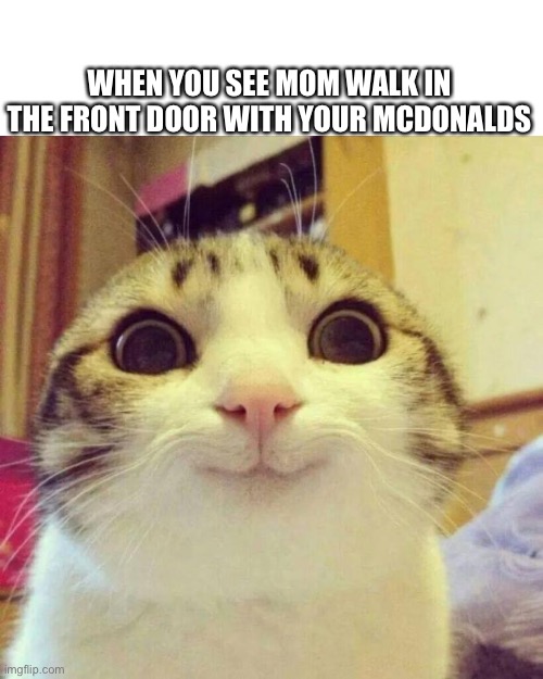McDonald’s | WHEN YOU SEE MOM WALK IN THE FRONT DOOR WITH YOUR MCDONALDS | image tagged in memes,smiling cat | made w/ Imgflip meme maker
