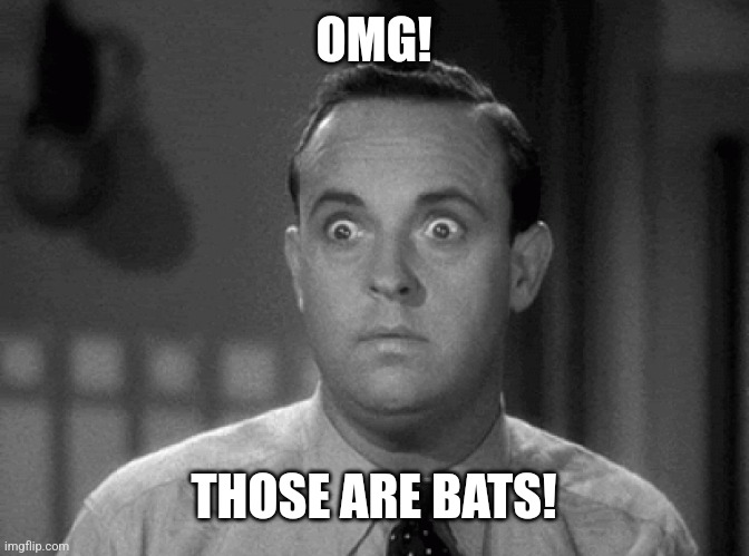 shocked face | OMG! THOSE ARE BATS! | image tagged in shocked face | made w/ Imgflip meme maker